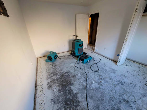 Best Water damage restoration near me  in Villas, NJ