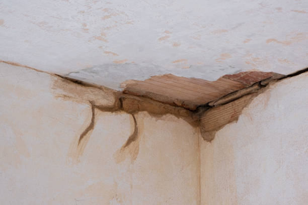 Best 24-hour water damage restoration  in Villas, NJ