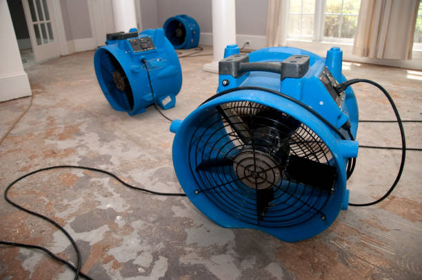 Best Flood damage cleanup  in Villas, NJ