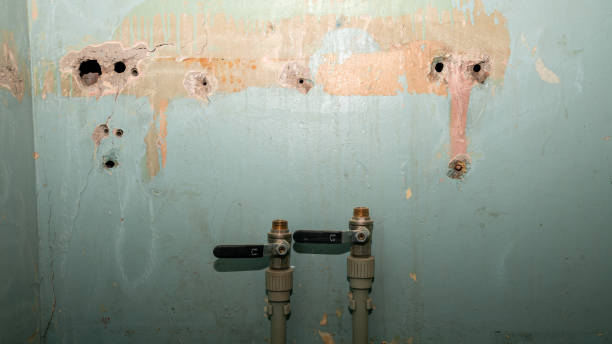 Best Ceiling water damage repair  in Villas, NJ