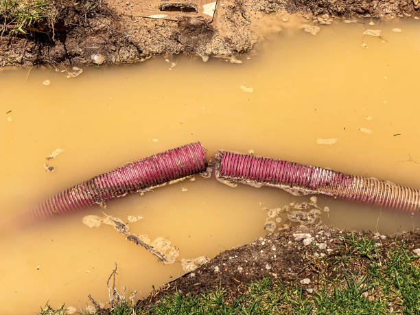 Reliable Villas, NJ Water damage restoration Solutions