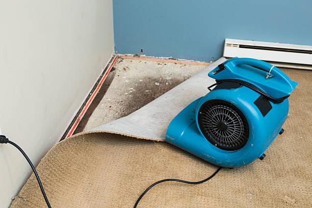 Water damage restoration experts in Villas, NJ